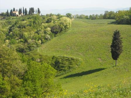 pellegrini per 5 dì 20