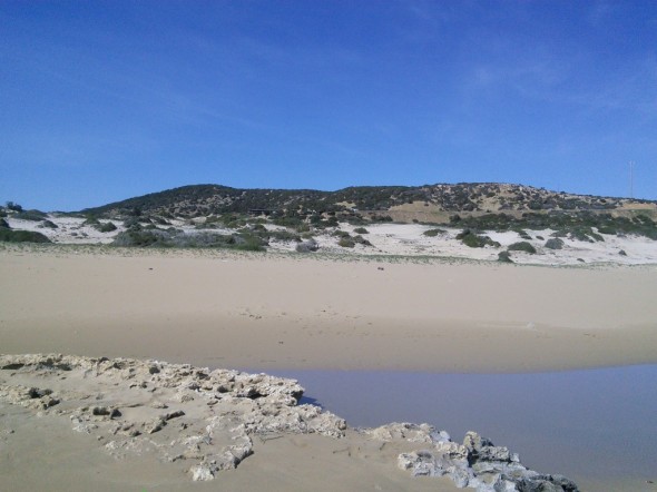 cipro nord