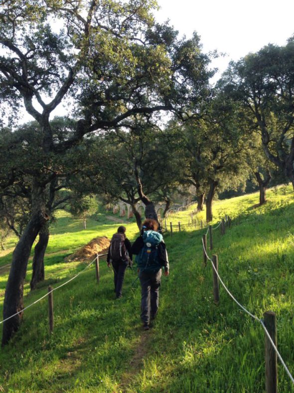 trekking_costa_etruschi - 08