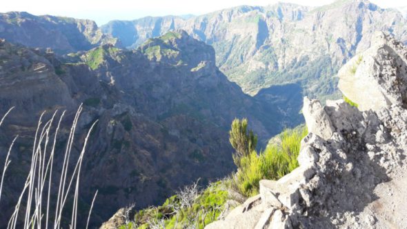 MADEIRA - 1 di 10 (1)