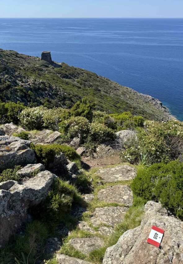 Trekking-organizato-di-gruppo-Isola-Capraia-Toscana-Ottobre-2026-1