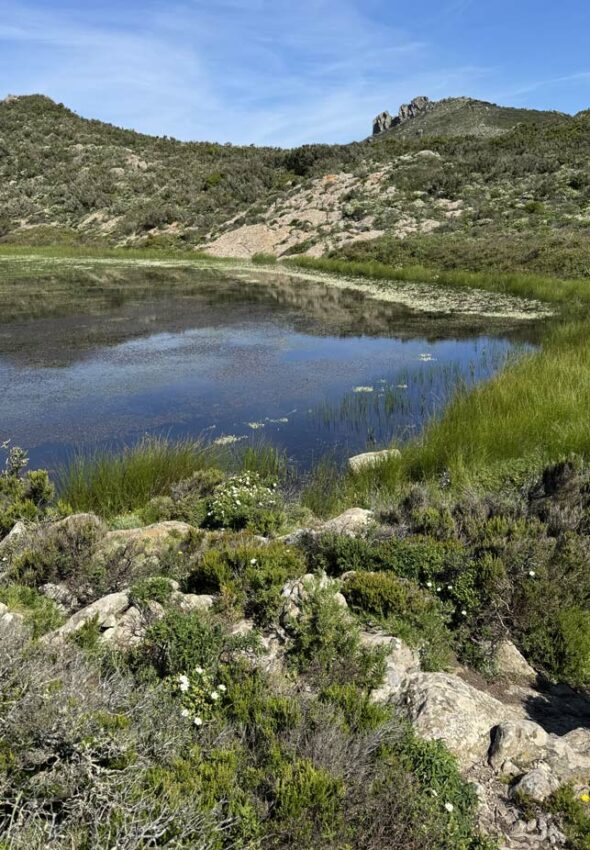 Trekking-organizato-di-gruppo-Isola-Capraia-Toscana-Ottobre-2026-10