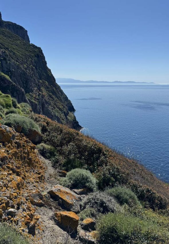 Trekking-organizato-di-gruppo-Isola-Capraia-Toscana-Ottobre-2026-11