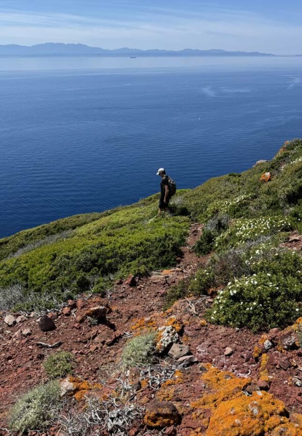 Trekking-organizato-di-gruppo-Isola-Capraia-Toscana-Ottobre-2026-9