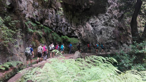 trekking_madeira_walden 14