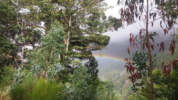 trekking_madeira_walden 3