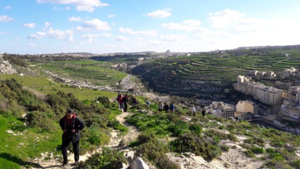 GOZO - 10
