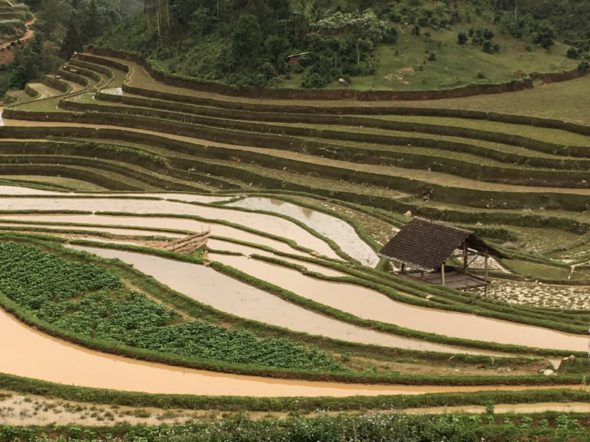 02_trekking_nord_vietnam