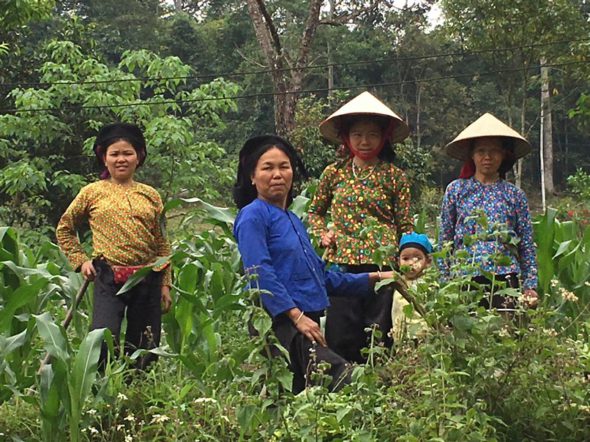 04_trekking_nord_vietnam