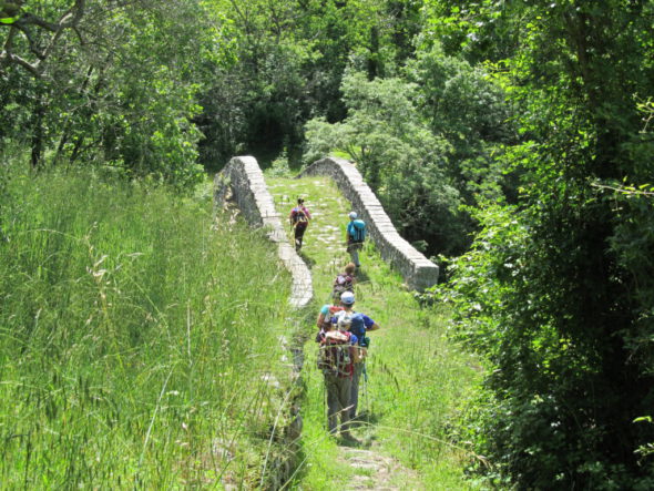 10 - FRANCIGENA LUNIGIANA