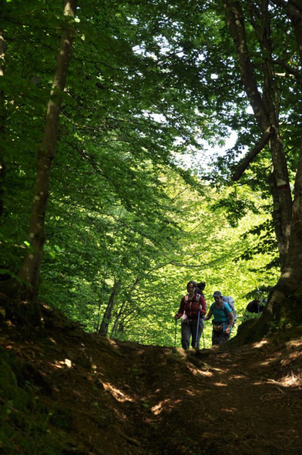 3 - FRANCIGENA LUNIGIANA