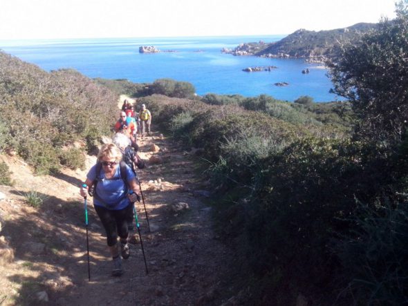 IMG-20170105-WA0011(1)