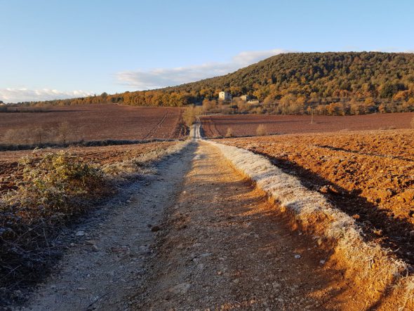 francigena buonconvento