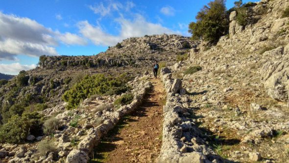 27356198_1802183049799947_7756325719473321017_o