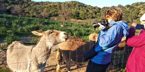 82296580_2945973428754231_3349156995671261184_o