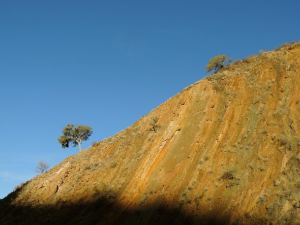 namibia 13