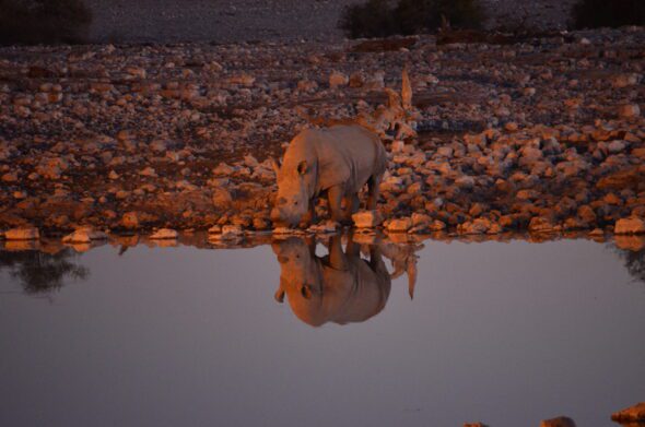 namibia 2