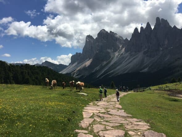 Dolomiti Giugno4