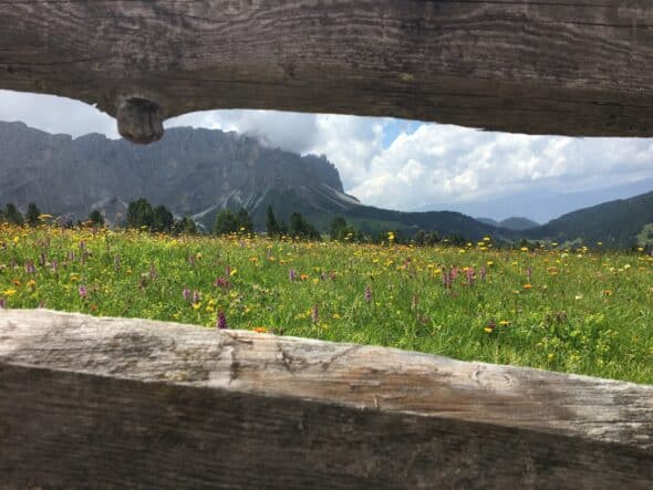 Dolomiti Giugno9