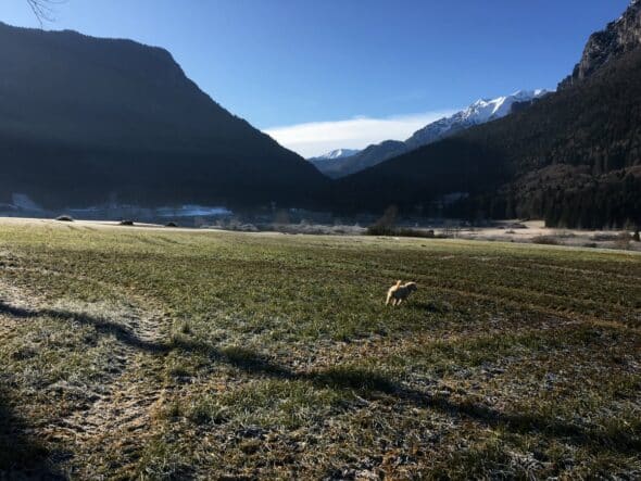 16EpifaniaArteNaturaBenessere