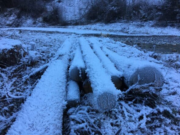 6EpifaniaArteNaturaBenessere