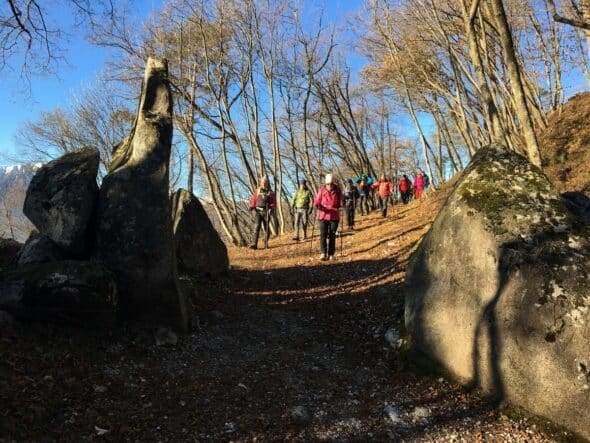 7EpifaniaArteNaturaBenessere