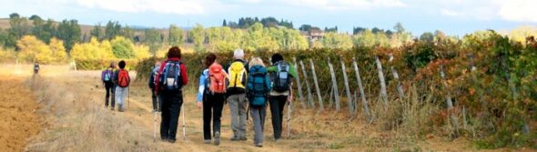 Francigena-in-terra-di-Siena-10