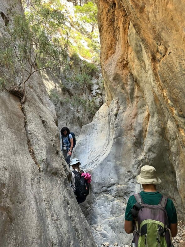 creta 3