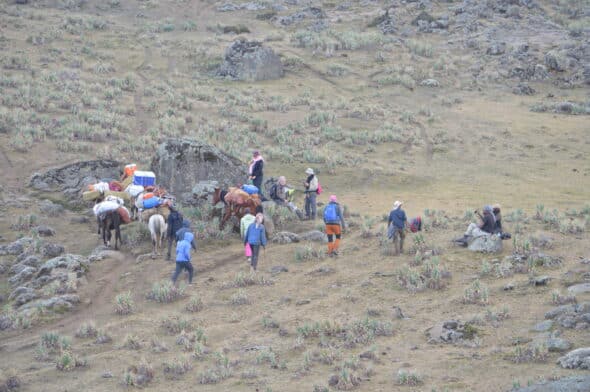 etiopia 16