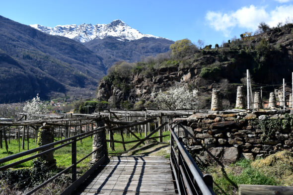Piemonte - DSC_0782