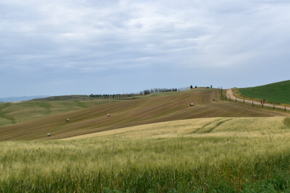 Toscana - DSC_0716