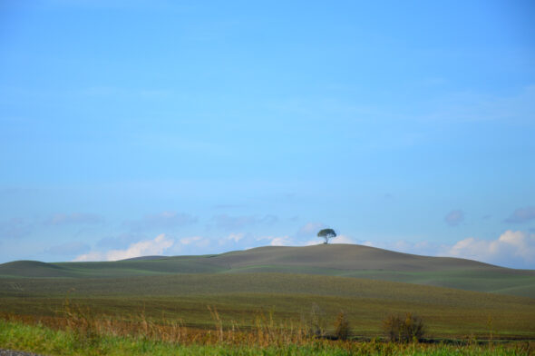 Toscana - DSC_8153