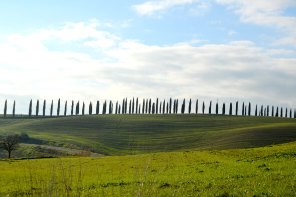 Toscana - DSC_8212