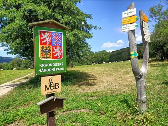 IMG20240723122954