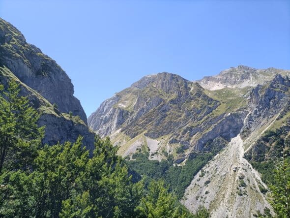 IMG20230813124115