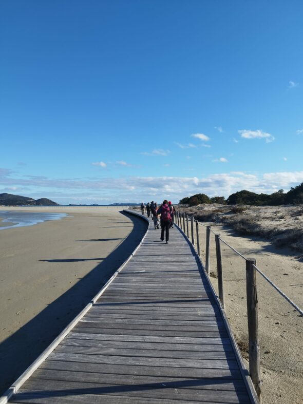 WhatsApp Image 2025-06-13 at 15.45