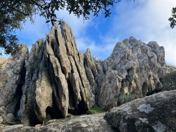 WhatsApp Image 2025-06-13 at 15.45