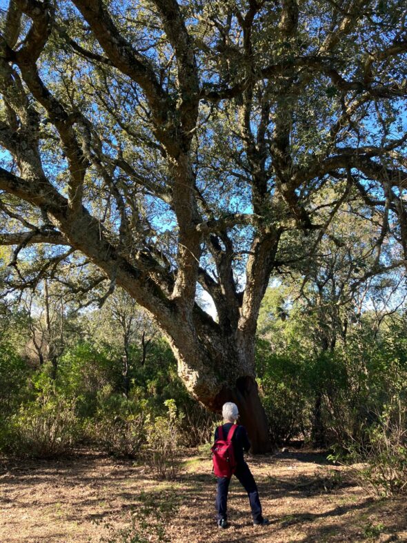 WhatsApp Image 2025-06-13 at 15.45