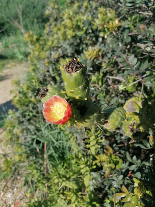 WhatsApp Image 2025-06-13 at 15.46