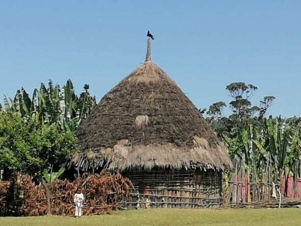 etiopia 15