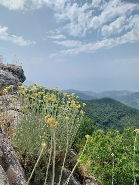 MONTE_DELLA_STELLA_CILENTO (1)