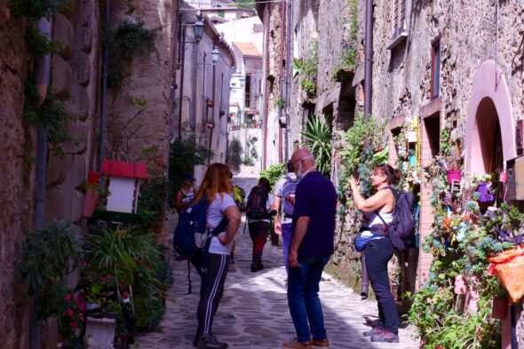 STELLACILENTO (2) - Copia