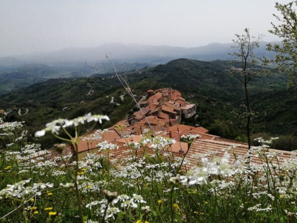 STELLACILENTO (4) - Copia