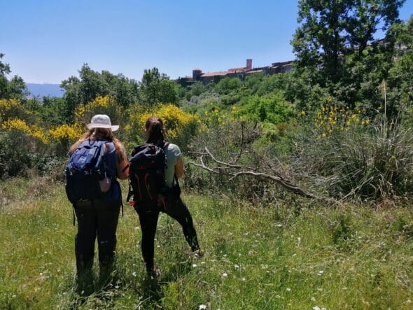 STELLACILENTO (5) - Copia