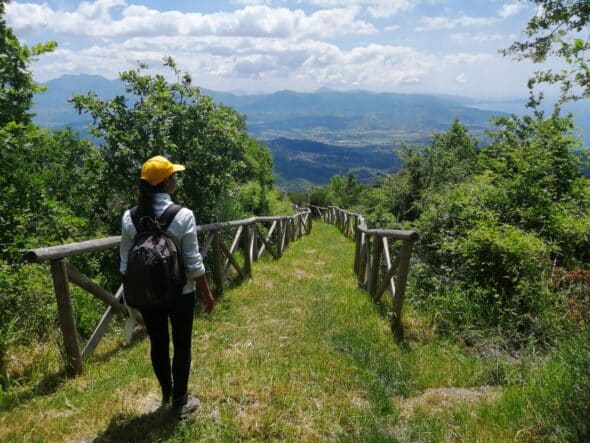 STELLACILENTO (8) - Copia