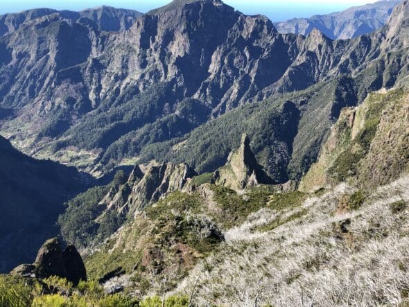 1B2533FC-7FEF-454D-986F-CF47F8A9975B