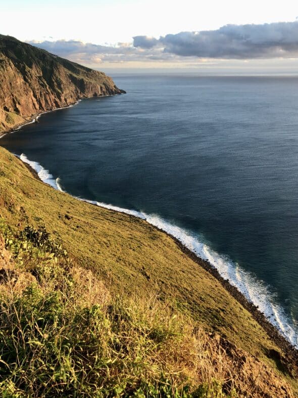 4D8FE35A-5AC3-404D-A68B-38030B3FD2EA_1_201_a