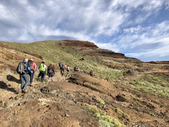 73F3840E-2C42-441A-9EC2-32C28C4150FA_1_201_a