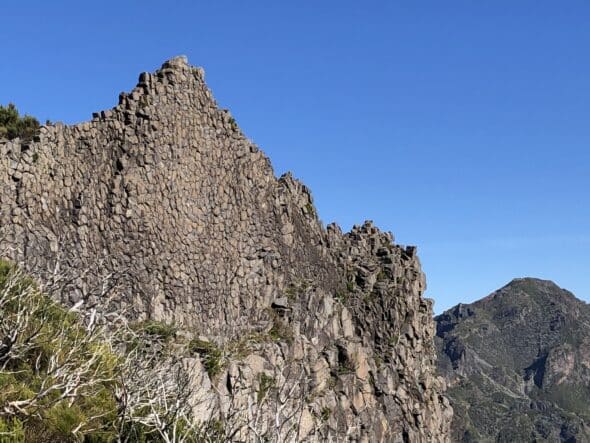 7F940EC6-4F61-4CCA-8ADA-AFD60796BC4C