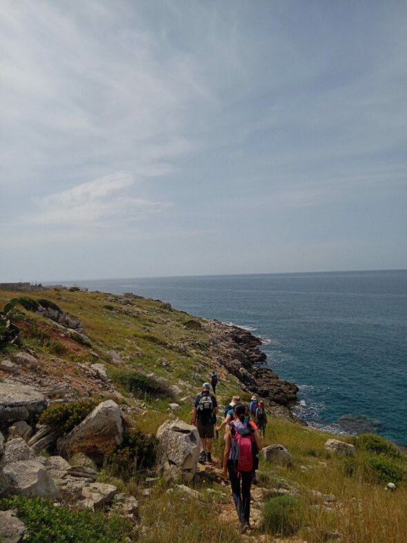 Immagine WhatsApp 2025-10-29 ore 23.41